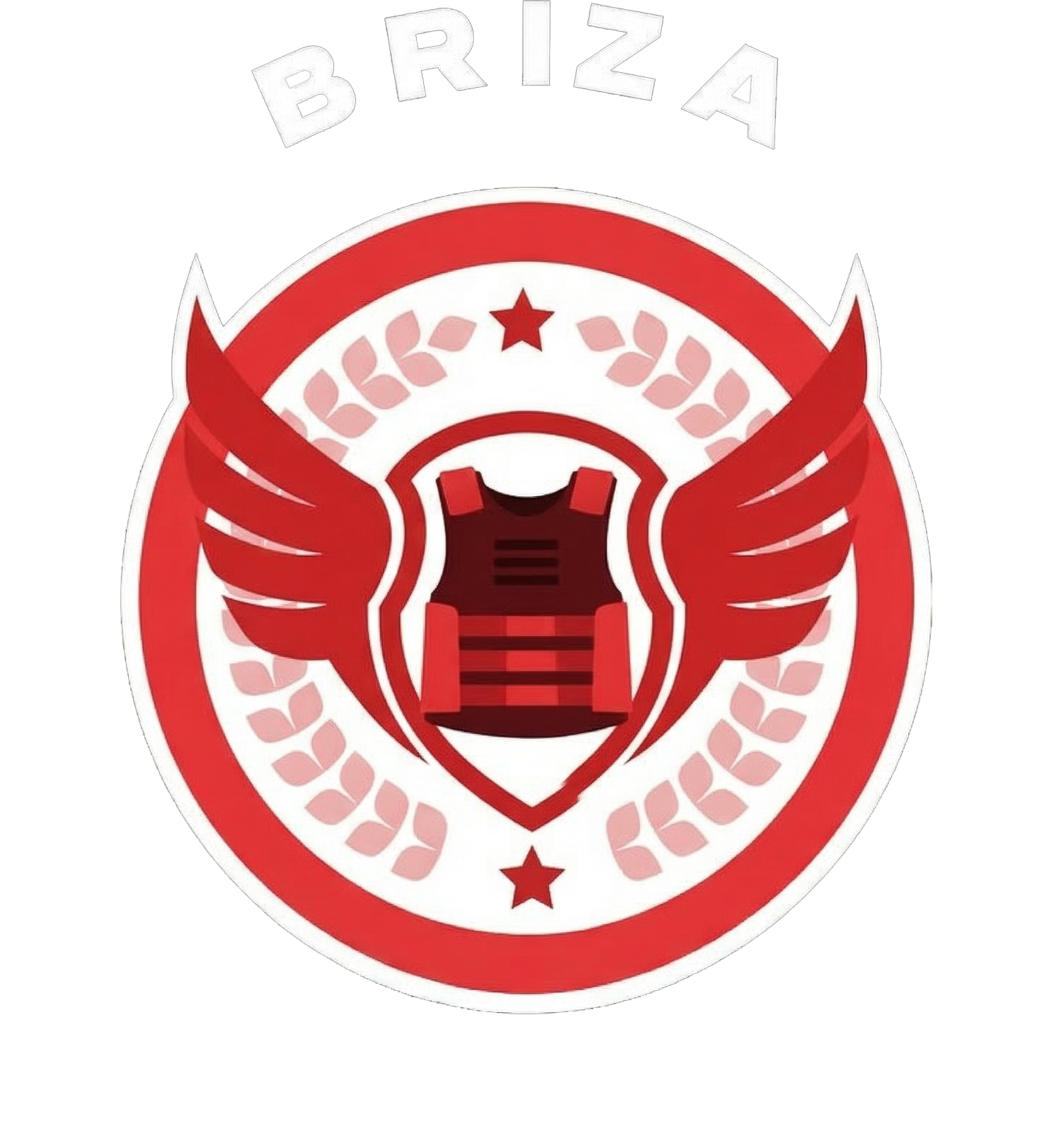 Briza Neighbourhood Watch